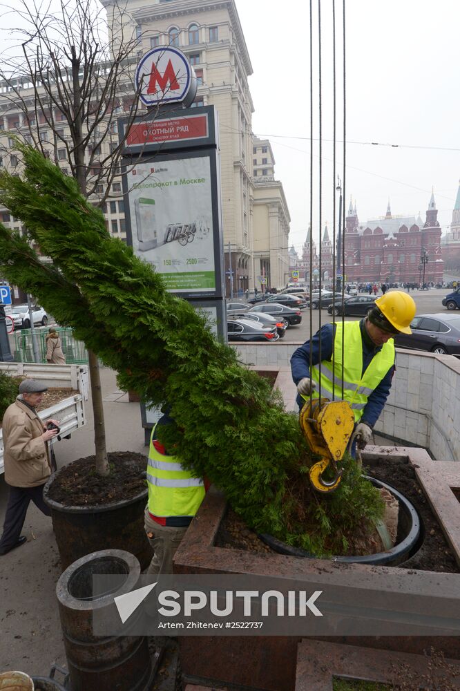Seasonal replacement of trees in Moscow's Tverskaya Street