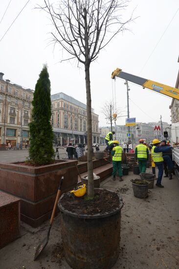 Seasonal replacement of trees in Moscow's Tverskaya Street