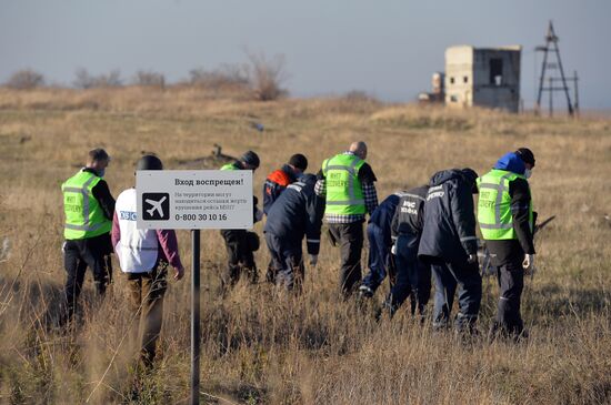 OSCE experts examine Malaysian aircraft crash site