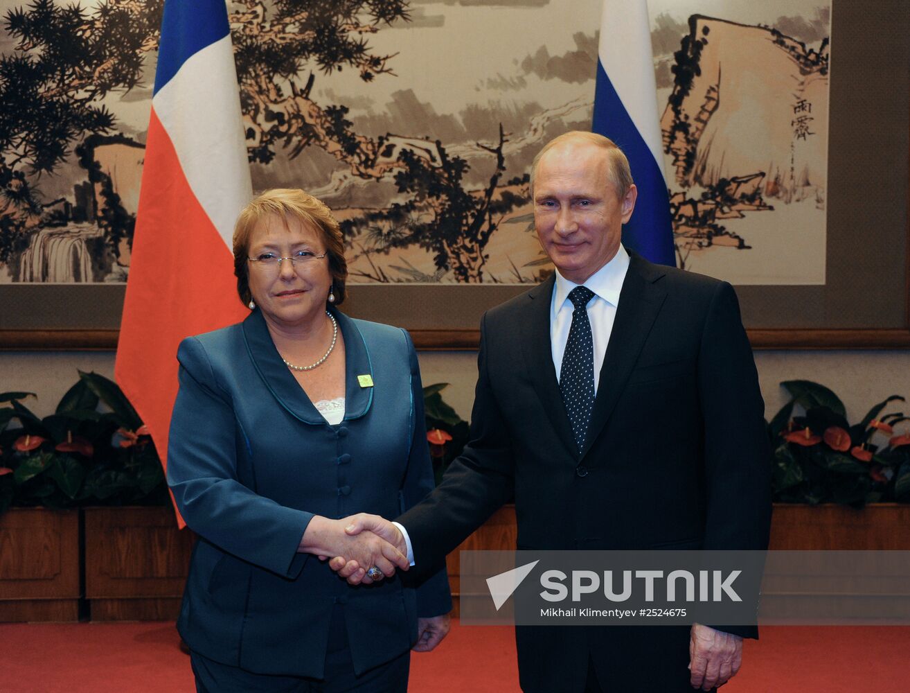 Vladimir Putin visits China