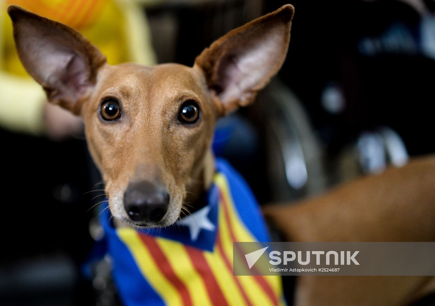 Catalonia's unofficial independence referendum