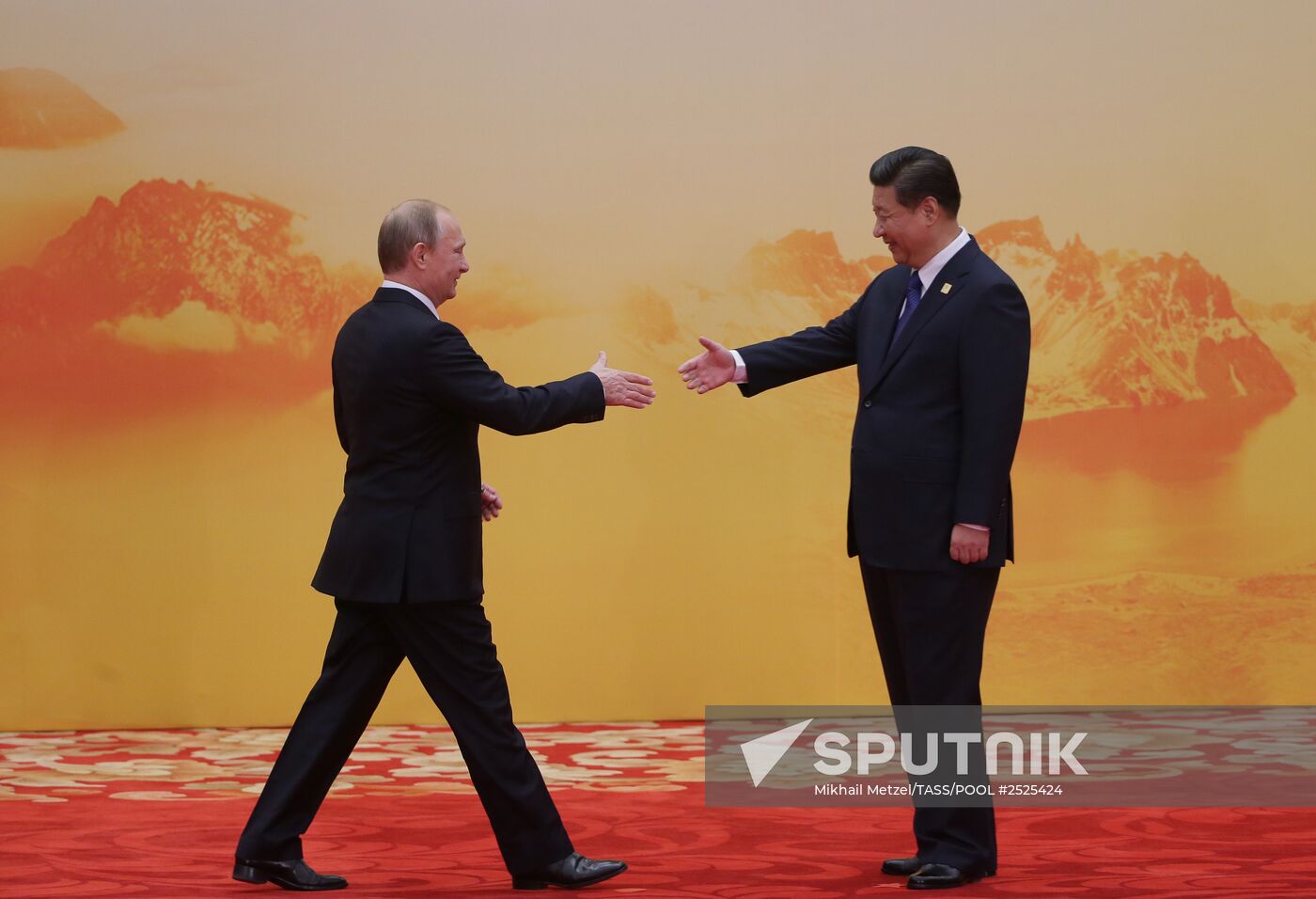 Vladimir Putin attends APEC summit