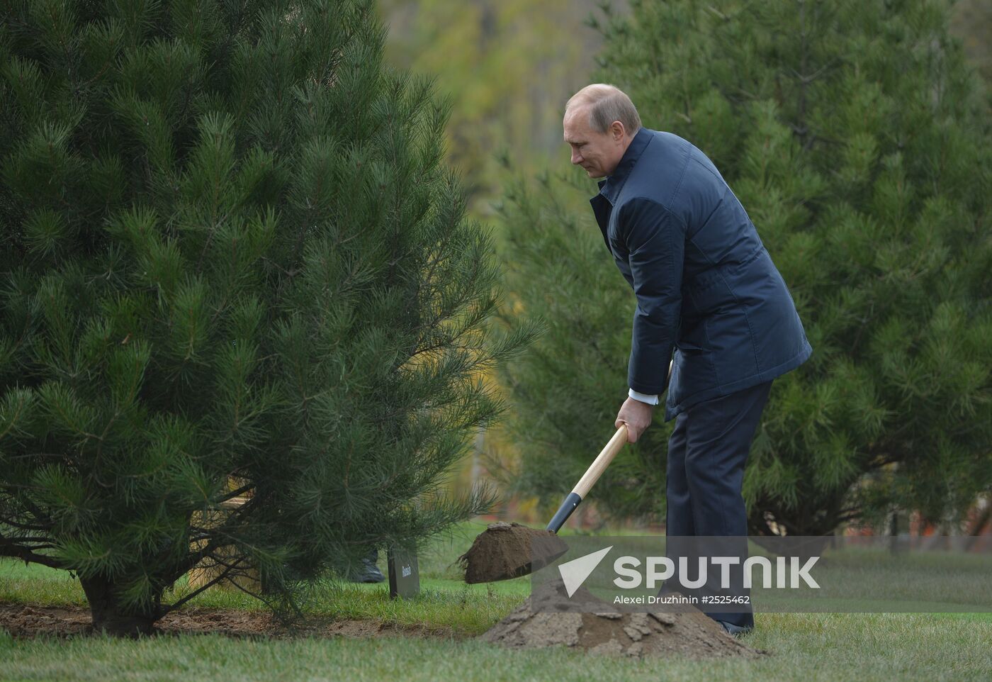 Vladimir Putin attends APEC summit