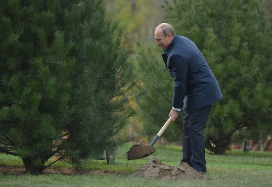 Vladimir Putin attends APEC summit