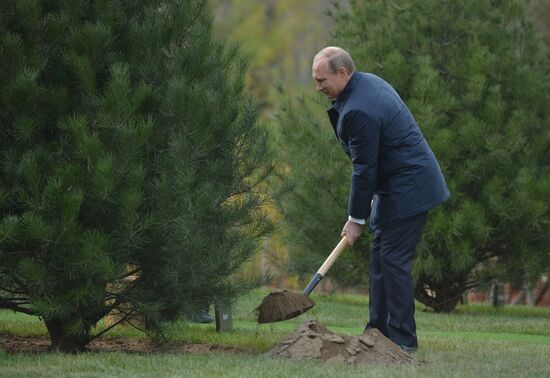 Vladimir Putin attends APEC summit