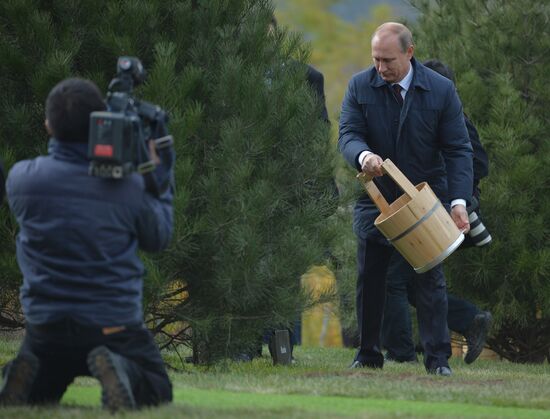 Vladimir Putin attends APEC summit