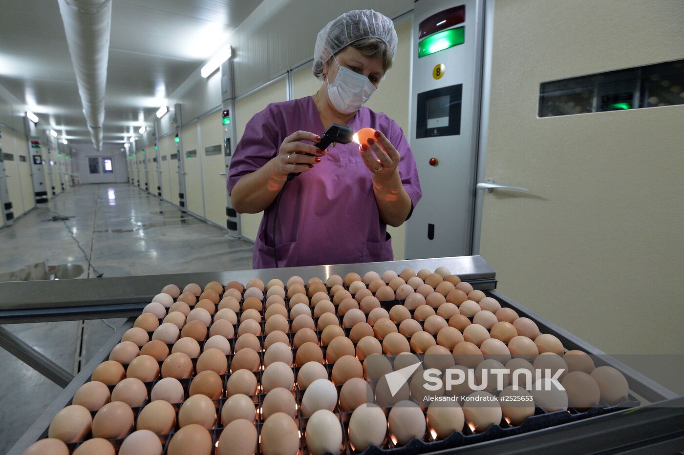 Poultry enterprise Ravis - integrated poultry farm in Chelyabinsk region