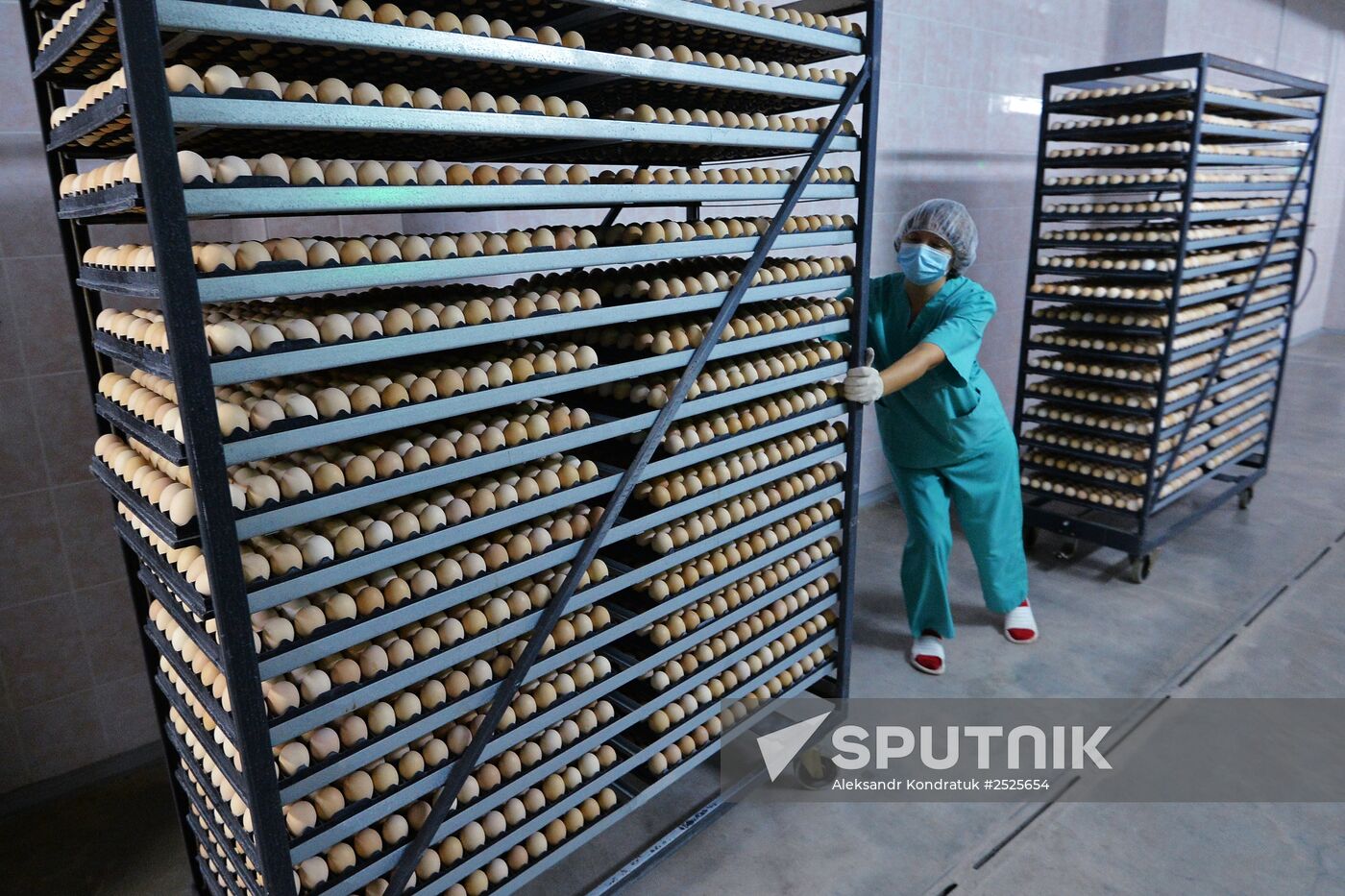 Poultry enterprise Ravis - integrated poultry farm in Chelyabinsk region