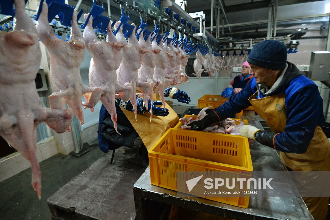 Poultry enterprise Ravis - integrated poultry farm in Chelyabinsk region