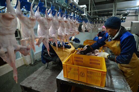 Poultry enterprise Ravis - integrated poultry farm in Chelyabinsk region