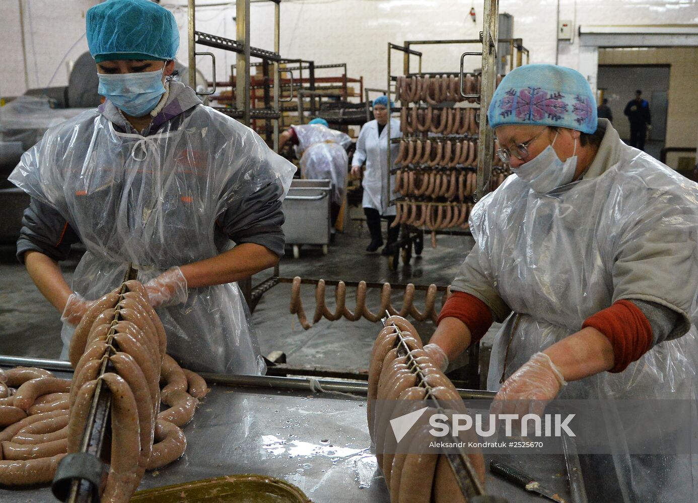 Poultry enterprise Ravis - integrated poultry farm in Chelyabinsk region