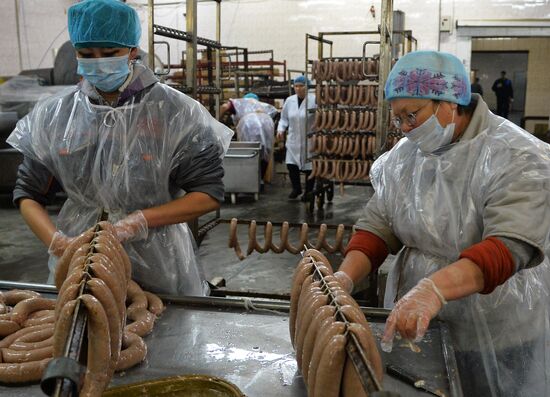 Poultry enterprise Ravis - integrated poultry farm in Chelyabinsk region