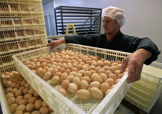 Ravis-Sosnovskaya Poultry Company in Chelyabinsk Region
