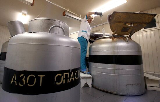 Station for blood transfusions in Kaliningrad