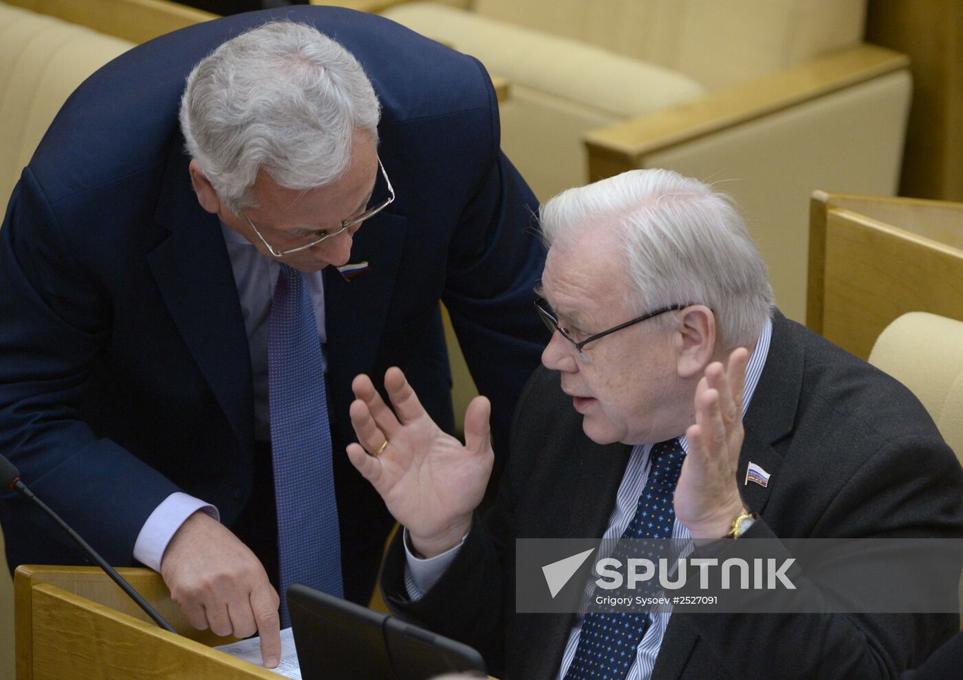State Duma plenary meeting