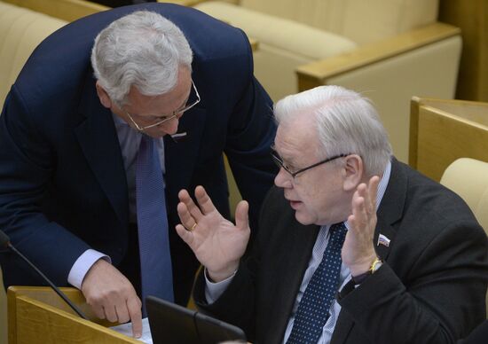 State Duma plenary meeting