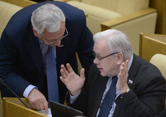 State Duma plenary meeting