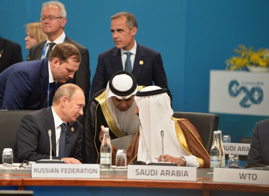 Vladimir Putin takes part in G-20 summit