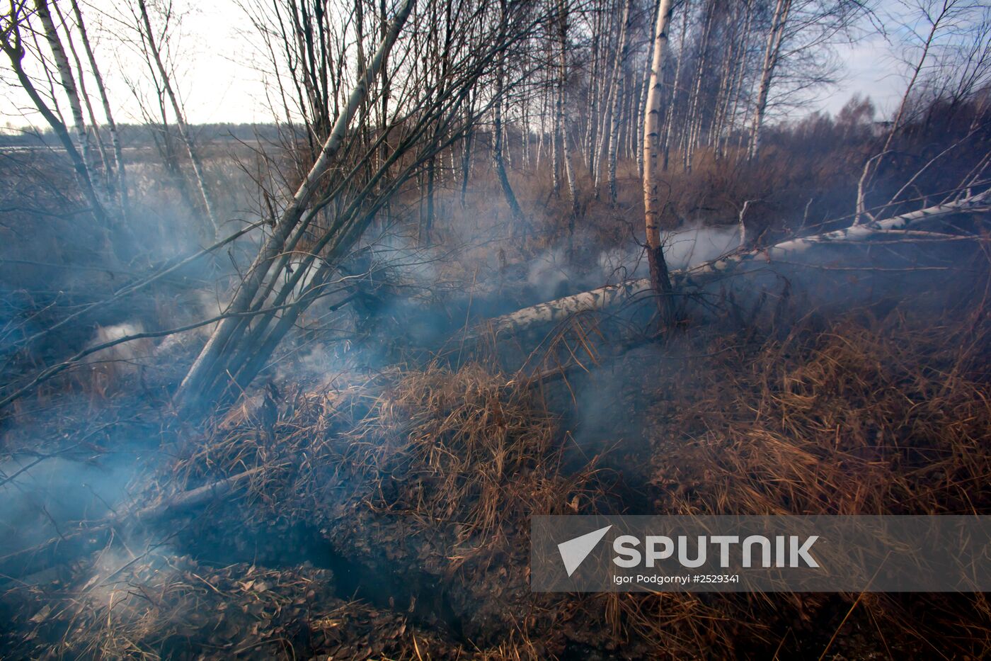 Extinguishing peat bog fires in the Tver Region