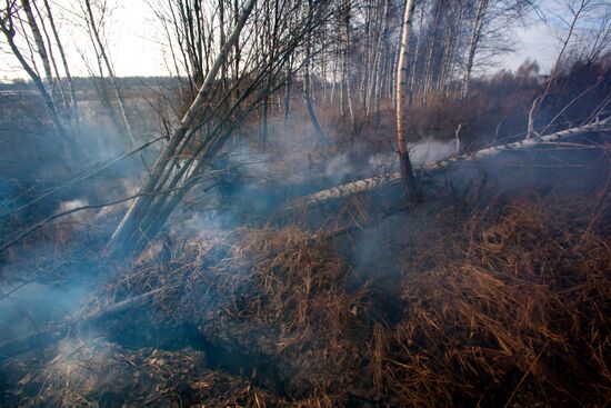 Extinguishing peat bog fires in the Tver Region