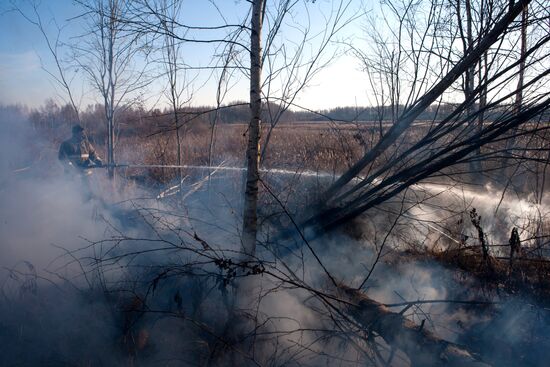 Extinguishing peat bog fires in the Tver Region