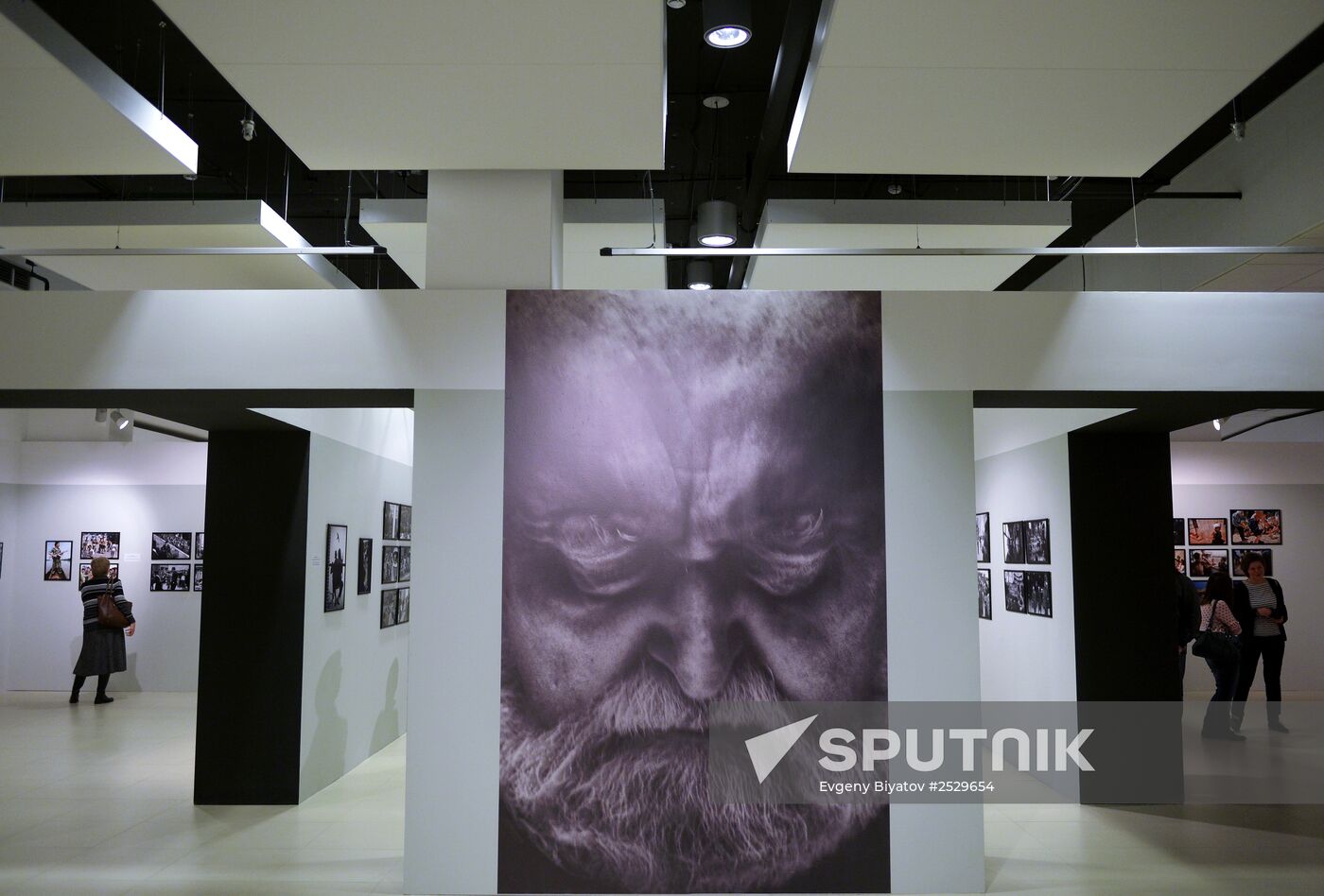 Exhibition of Vladimir Vyatkin "Energy Search"