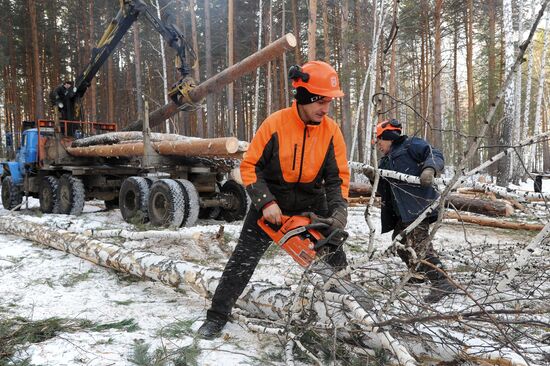 Kyshtymsky Les timber harvesting and processing plant in Chelyabinsk region