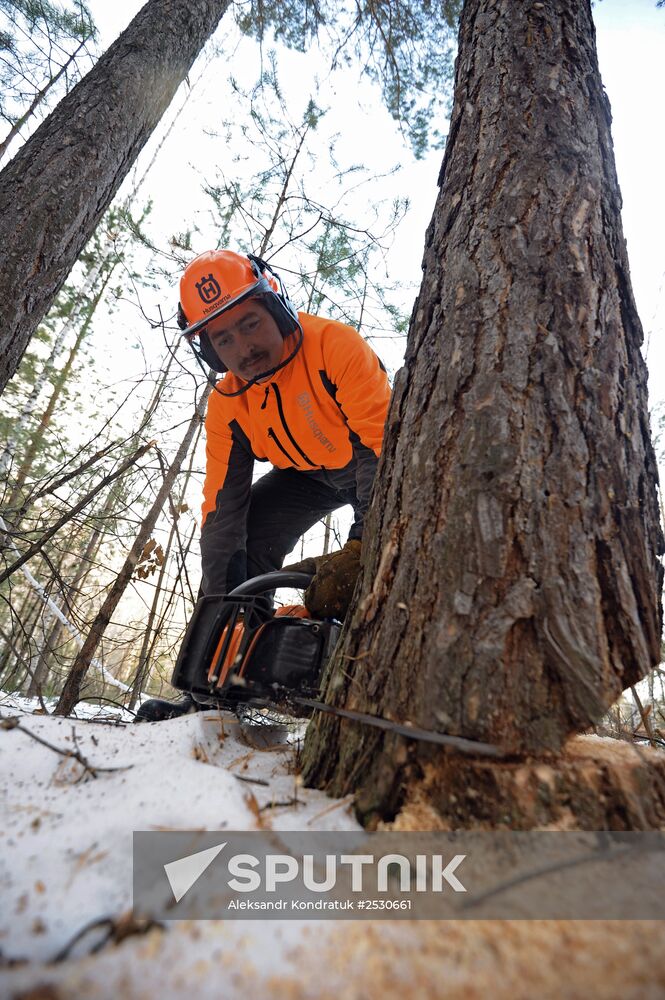 Kyshtymsky Les timber harvesting and processing plant in Chelyabinsk region