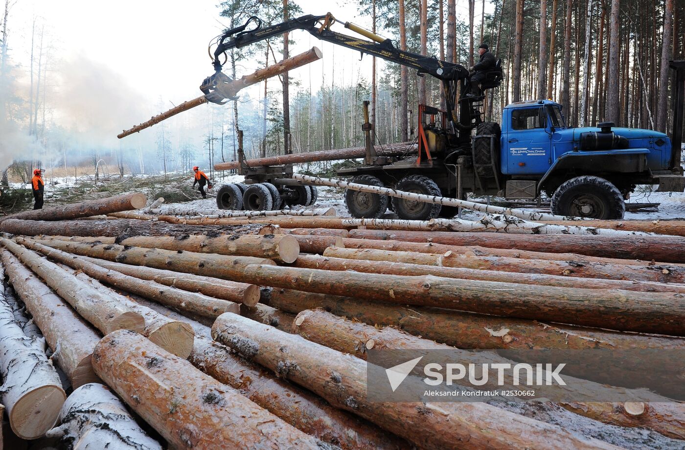 Kyshtymsky Les timber harvesting and processing plant in Chelyabinsk region