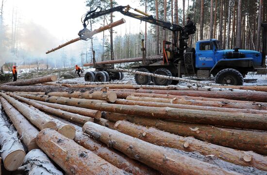 Kyshtymsky Les timber harvesting and processing plant in Chelyabinsk region