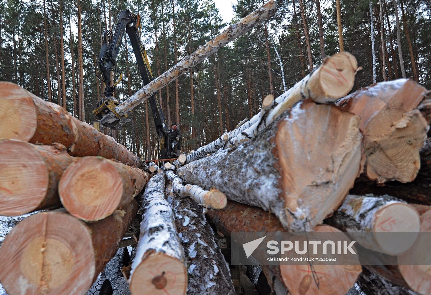 Kyshtymsky Les timber harvesting and processing plant in Chelyabinsk region