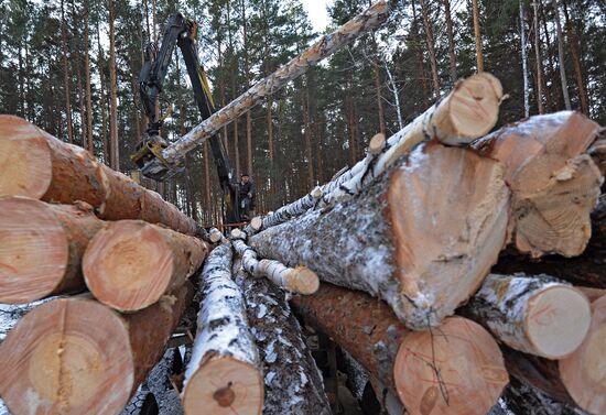 Kyshtymsky Les timber harvesting and processing plant in Chelyabinsk region