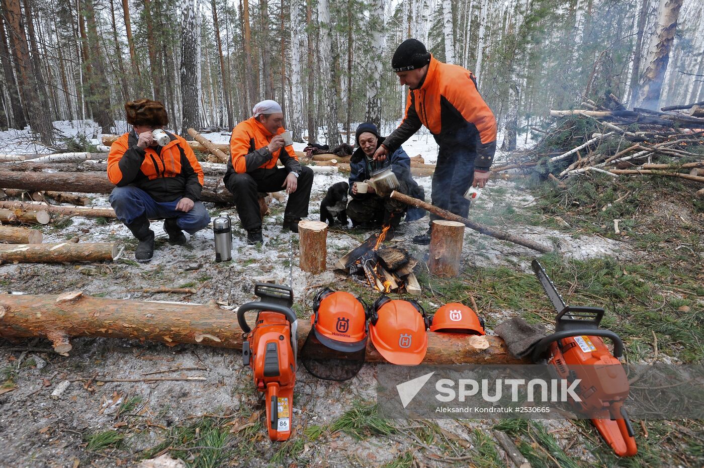 Kyshtymsky Les timber harvesting and processing plant in Chelyabinsk region