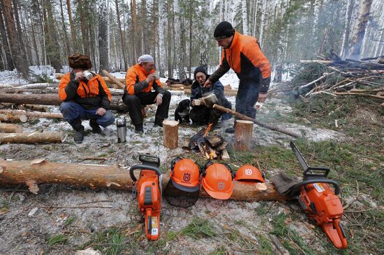 Kyshtymsky Les timber harvesting and processing plant in Chelyabinsk region