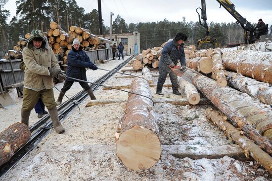Kyshtymsky Les timber harvesting and processing plant in Chelyabinsk region