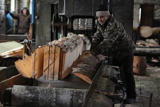 Kyshtymsky Les timber harvesting and processing plant in Chelyabinsk region