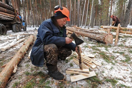 Kyshtymsky Les timber harvesting and processing plant in Chelyabinsk region