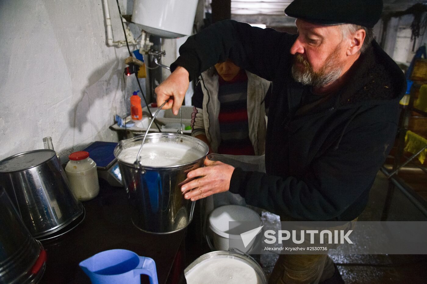 Cheese production in Altai territory