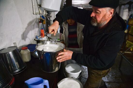 Cheese production in Altai territory