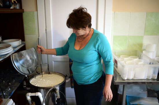 Blue cheese production in Altai Territory