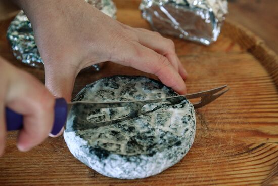 Blue cheese production in Altai Territory