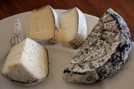 Blue cheese production in Altai Territory