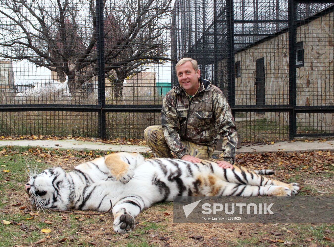 Taigan lions park in Crimea