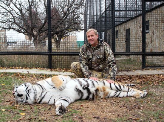 Taigan lions park in Crimea