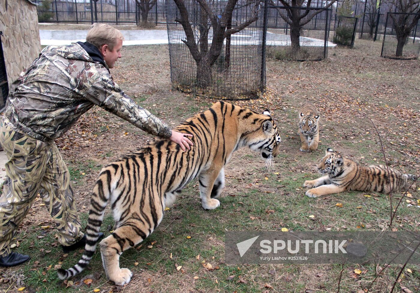Taigan lions park in Crimea