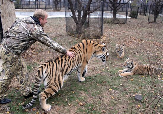 Taigan lions park in Crimea