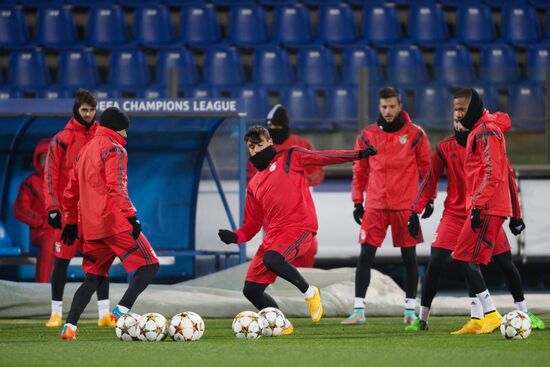 UEFA Champions League. Benfica training session