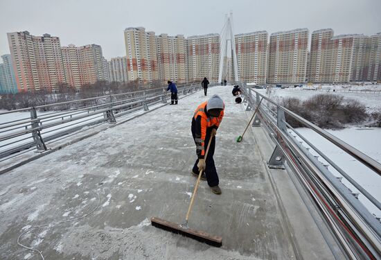 Pavshinsky pedestrian bridge