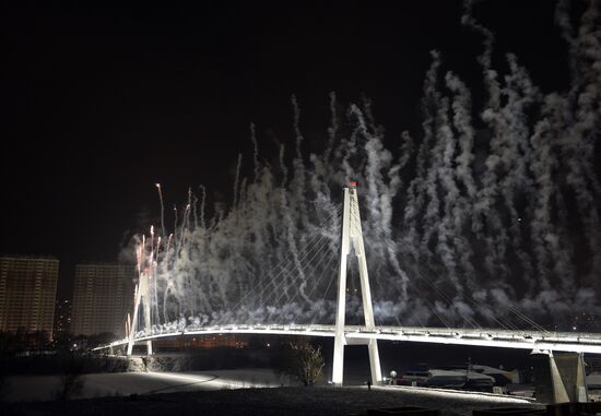 Pavshinsky pedestrian bridge opens