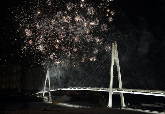 Pavshinsky pedestrian bridge opens